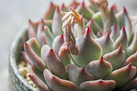 ECMO졢5GӦáҹͶЩҵ